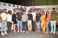 Grey Telugu Movie Trailer Launch